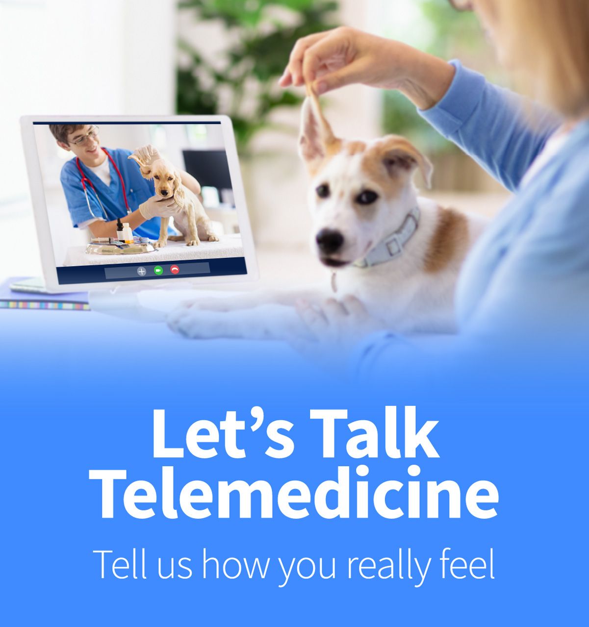 {{custommediaemailsadvanced::headline}}