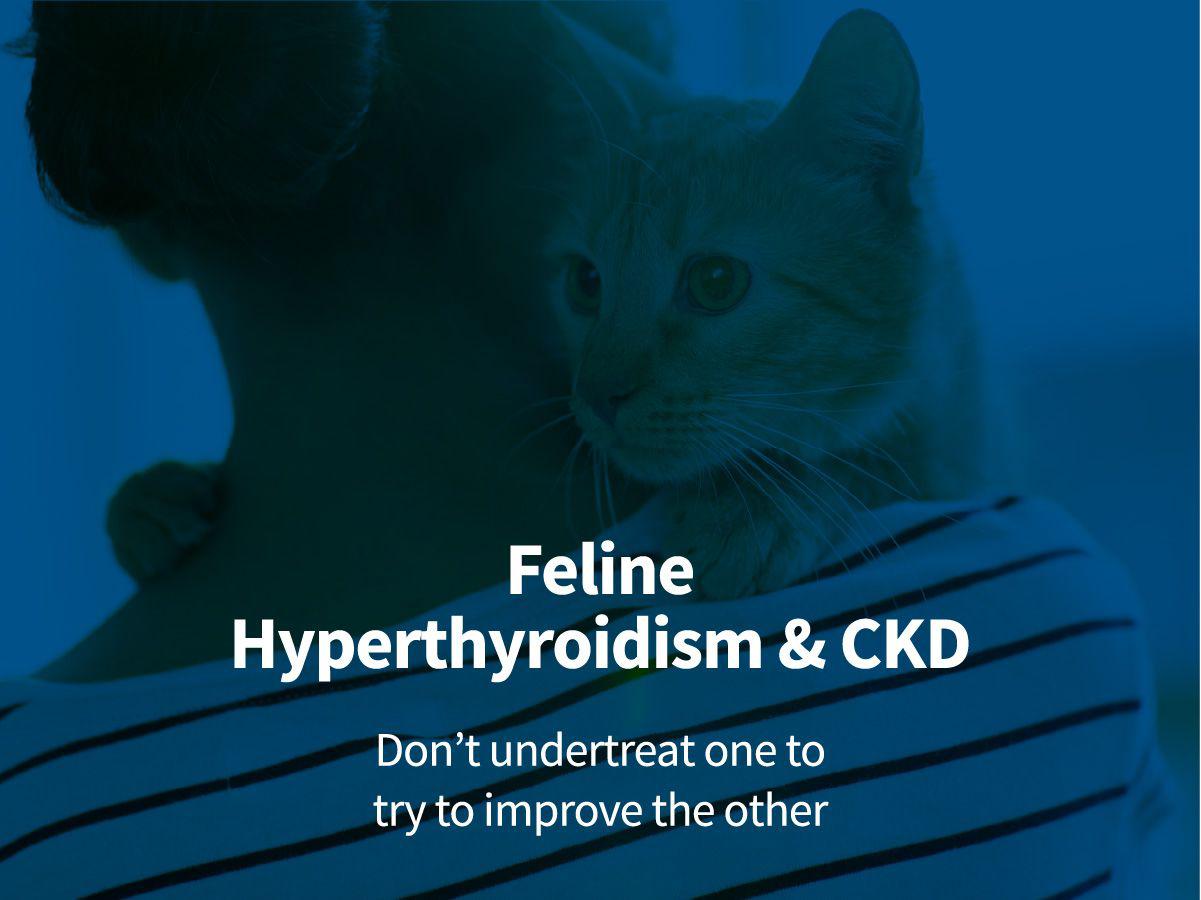 {{custommediaemailsadvanced::headline}}