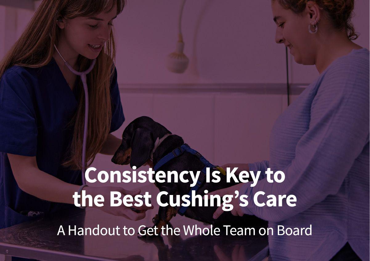 {{custommediaemailsadvanced::headline}}