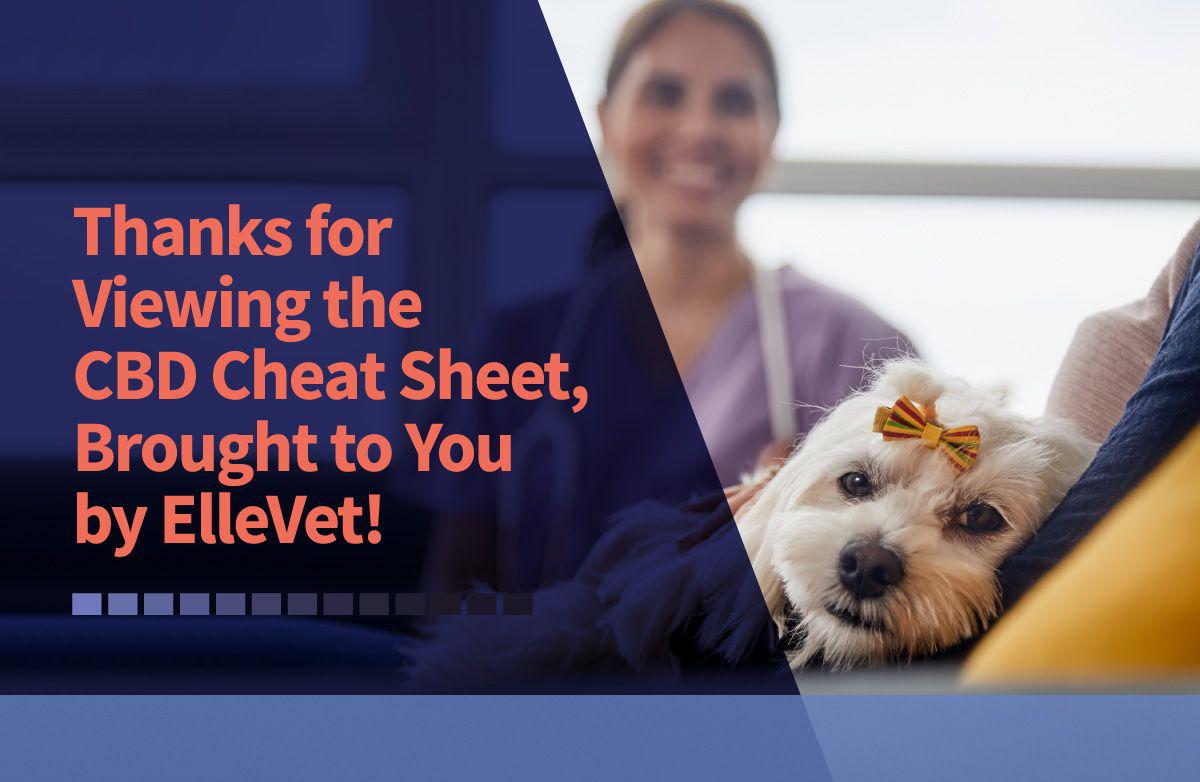 {{custommediaemailsadvanced::headline}}