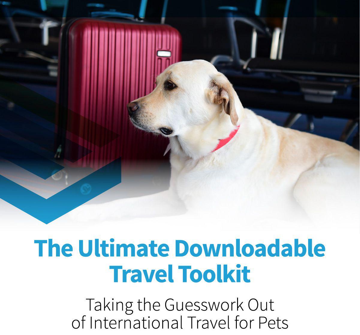{{custommediaemailsadvanced::headline}}