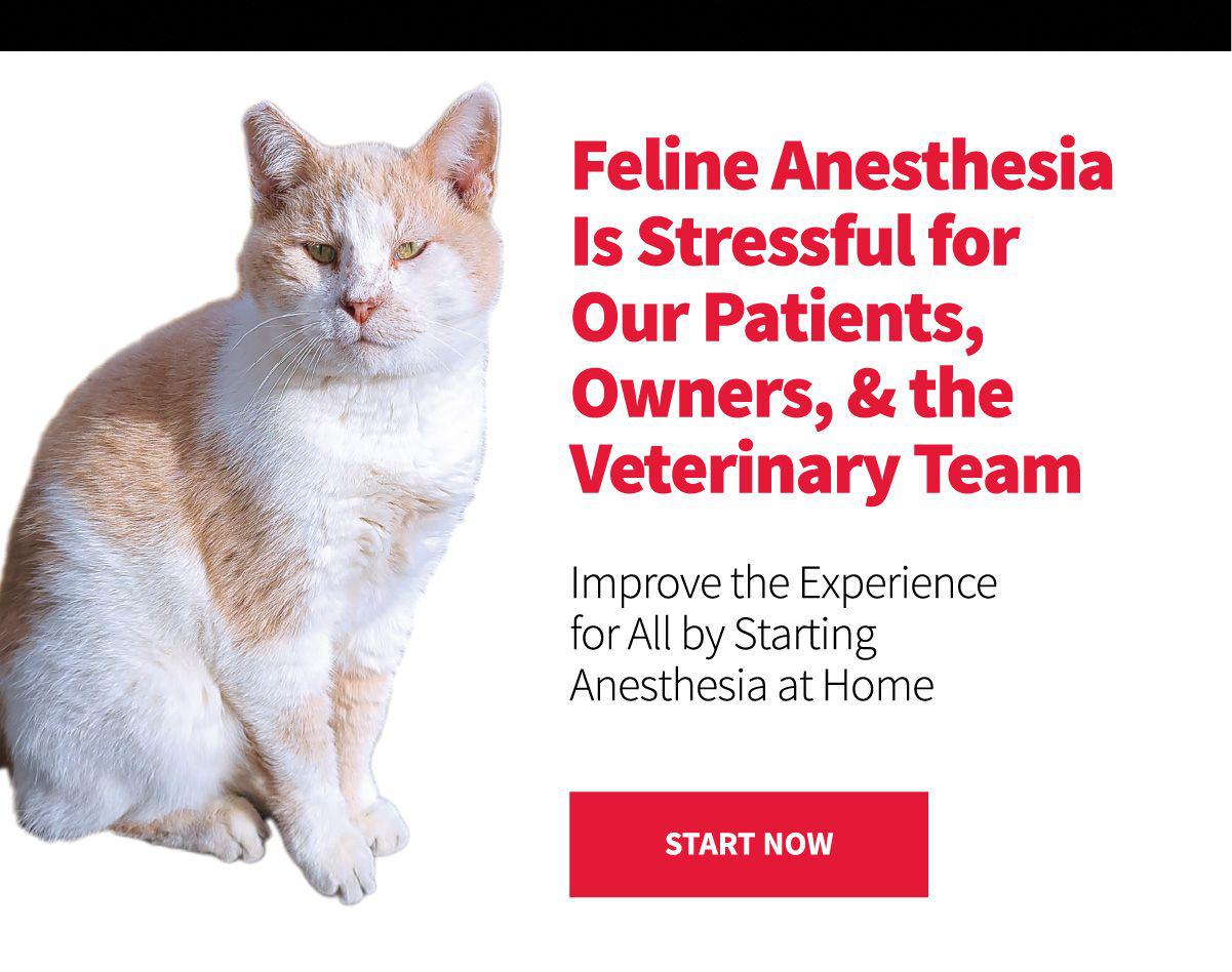 {{custommediaemailsadvanced::headline}}