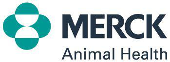 {{custommediaemailsadvanced::logo_alt_text}}