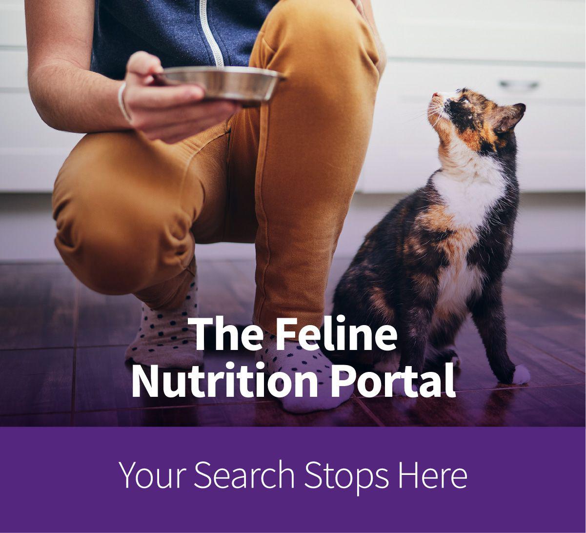 {{custommediaemailsadvanced::headline}}