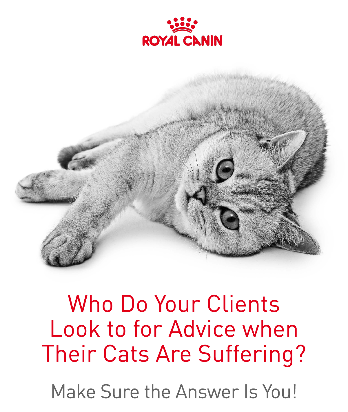 {{custommediaemailsadvanced::headline}}