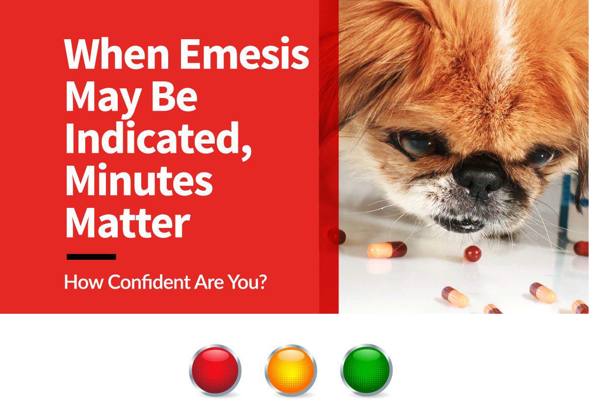 {{custommediaemailsadvanced::headline}}