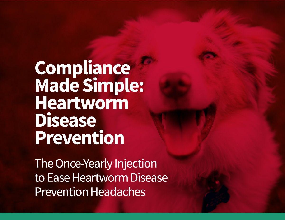 {{custommediaemailsadvanced::headline}}